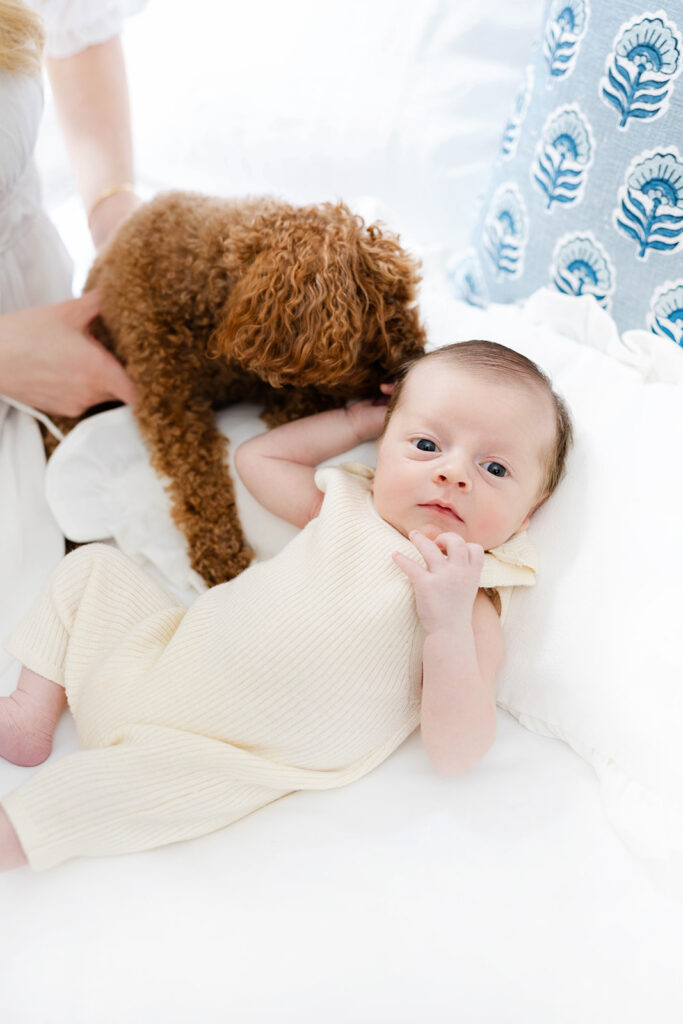 Newborn baby boy on bed near pillows, NYC baby photographer, Heirloom by Melissa