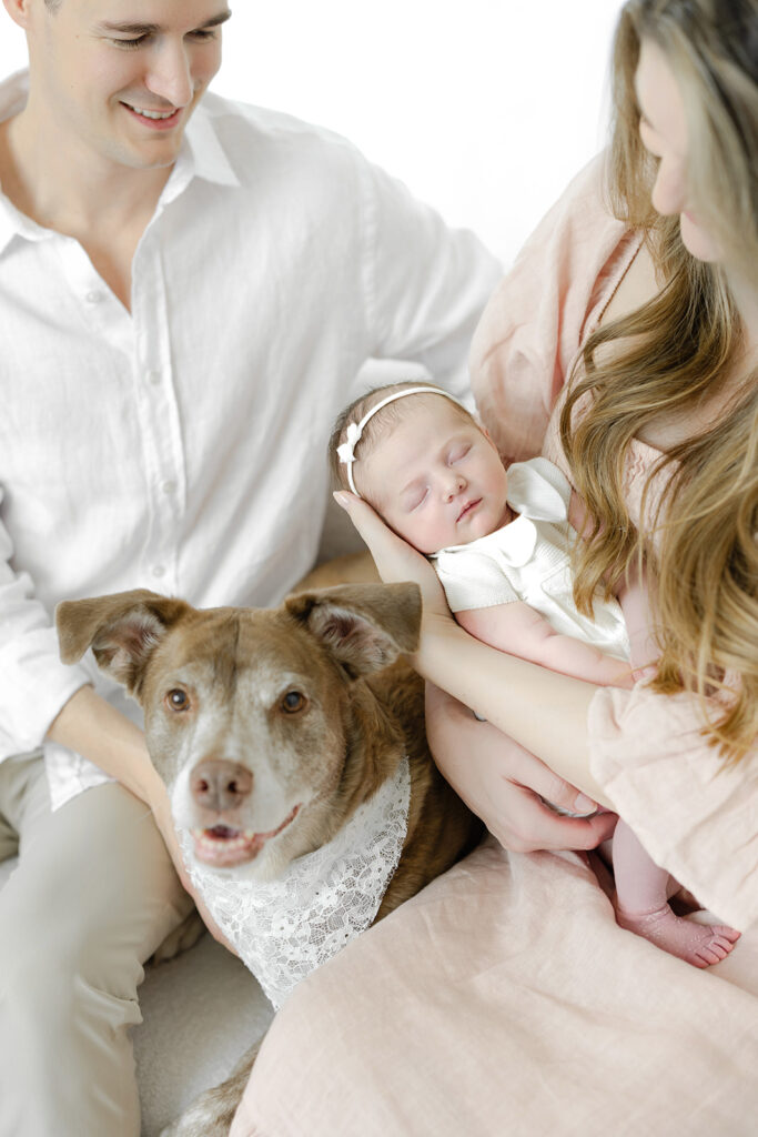 Flatiron newborn photographer, the family dog with the sleeping newborn at Heirloom by Melissa, NYC