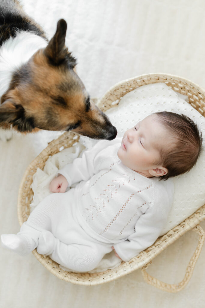 Family portrait with their newborn son and corgi in their Brooklyn nursery